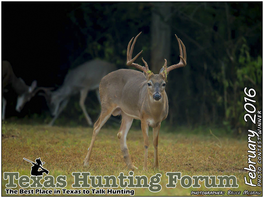 February 2016 Texas Hunting Forum Photo Contest Winner
