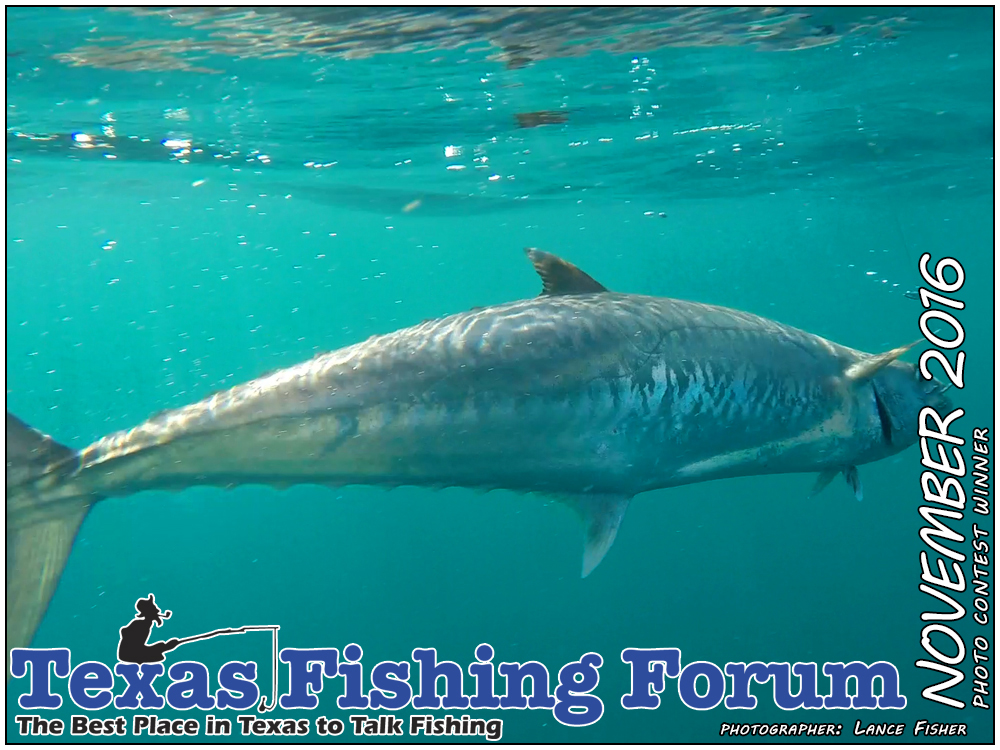 November 2016 Texas Fishing Forum Cover Photo
Photographer: Lance Fisher