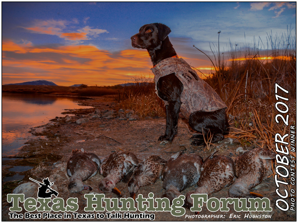 October 2017 Texas Hunting Forum Photo Contest Winner, Photographer: Eric Hughston