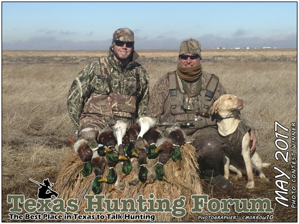 May 2017 Texas Hunting Forum Photo Contest Winner Photographer: CMORROW10