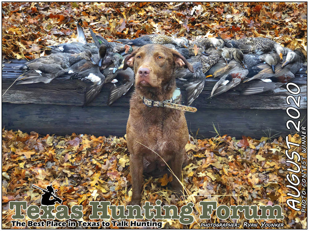  THF Cover Photo Contest Winner