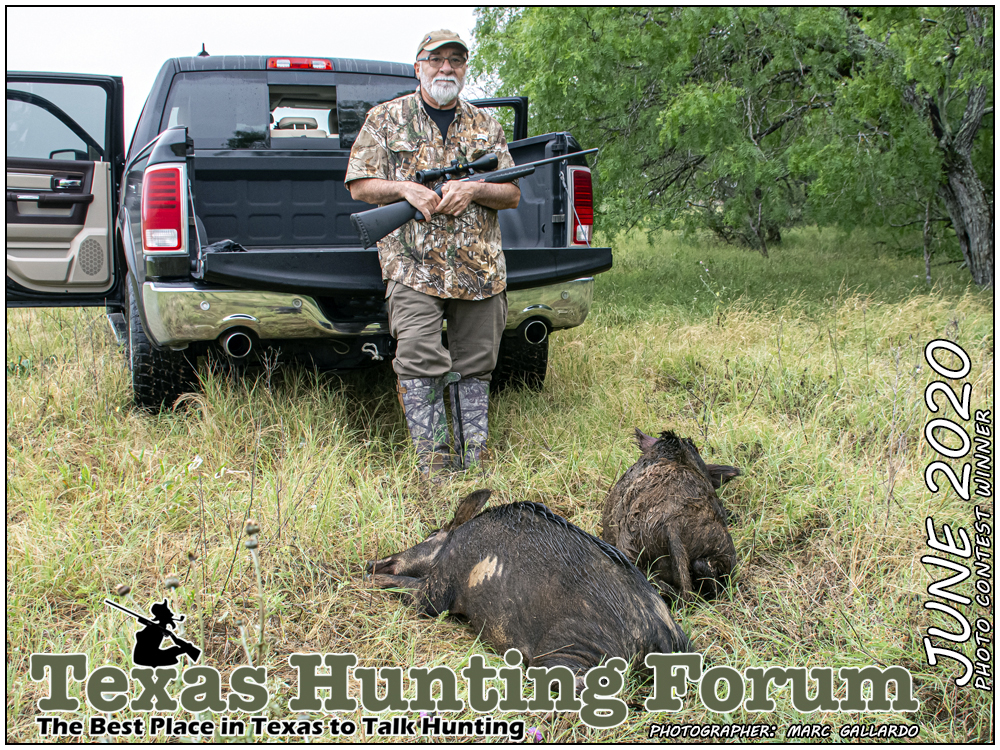  THF Cover Photo Contest Winner