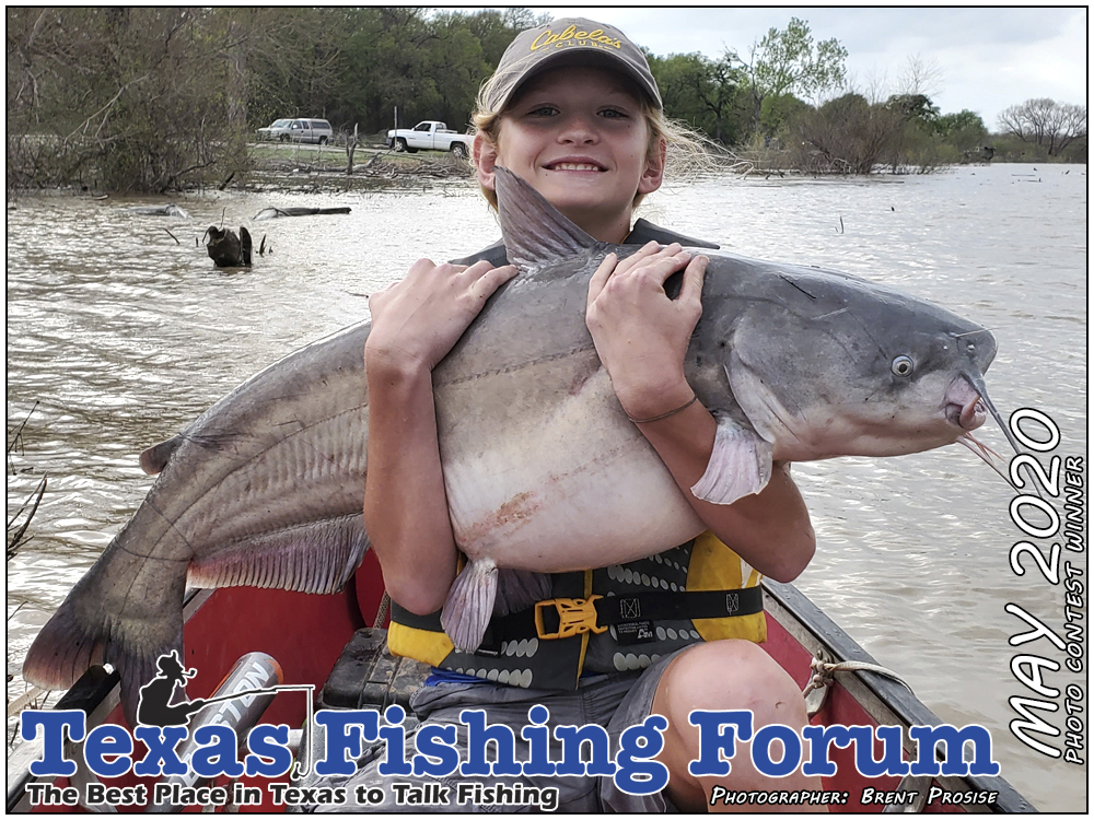  TFF Cover Photo Contest Winner