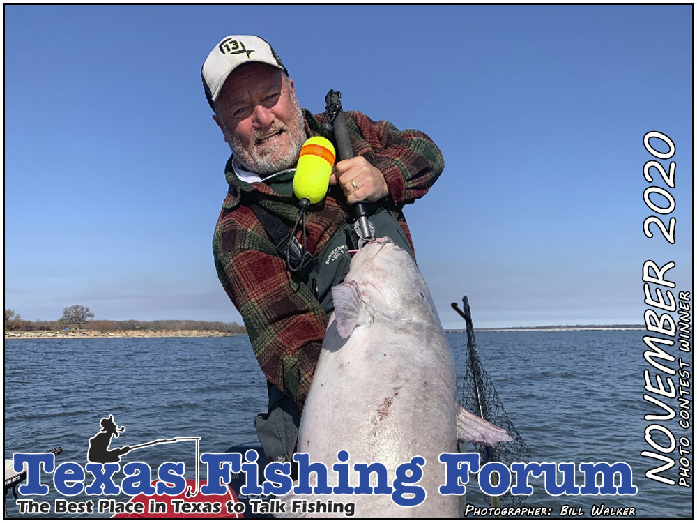  TFF Cover Photo Contest Winner