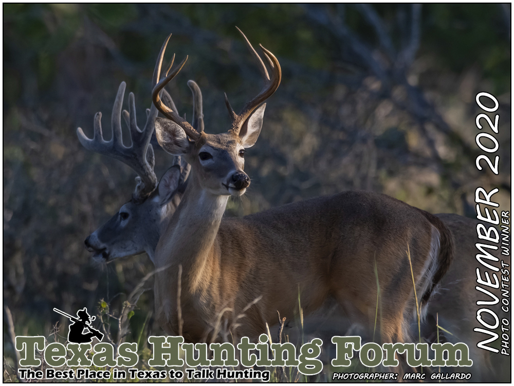 THF Cover Photo Contest Winner