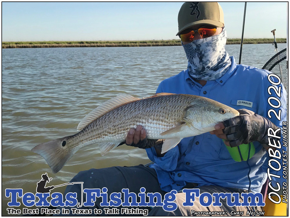  TFF Cover Photo Contest Winner
