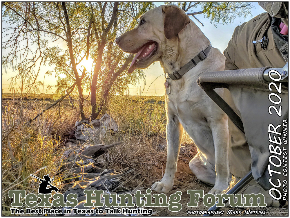  THF Cover Photo Contest Winner