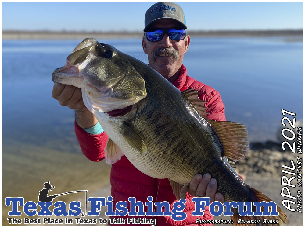  TFF Cover Photo Contest Winner