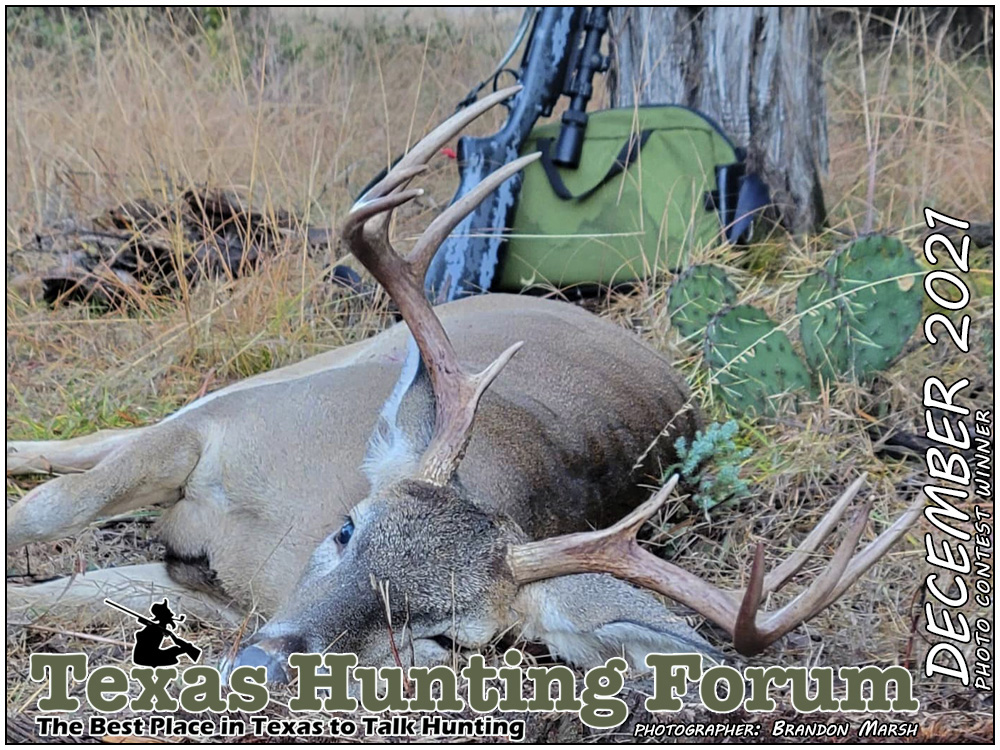  THF Cover Photo Contest Winner