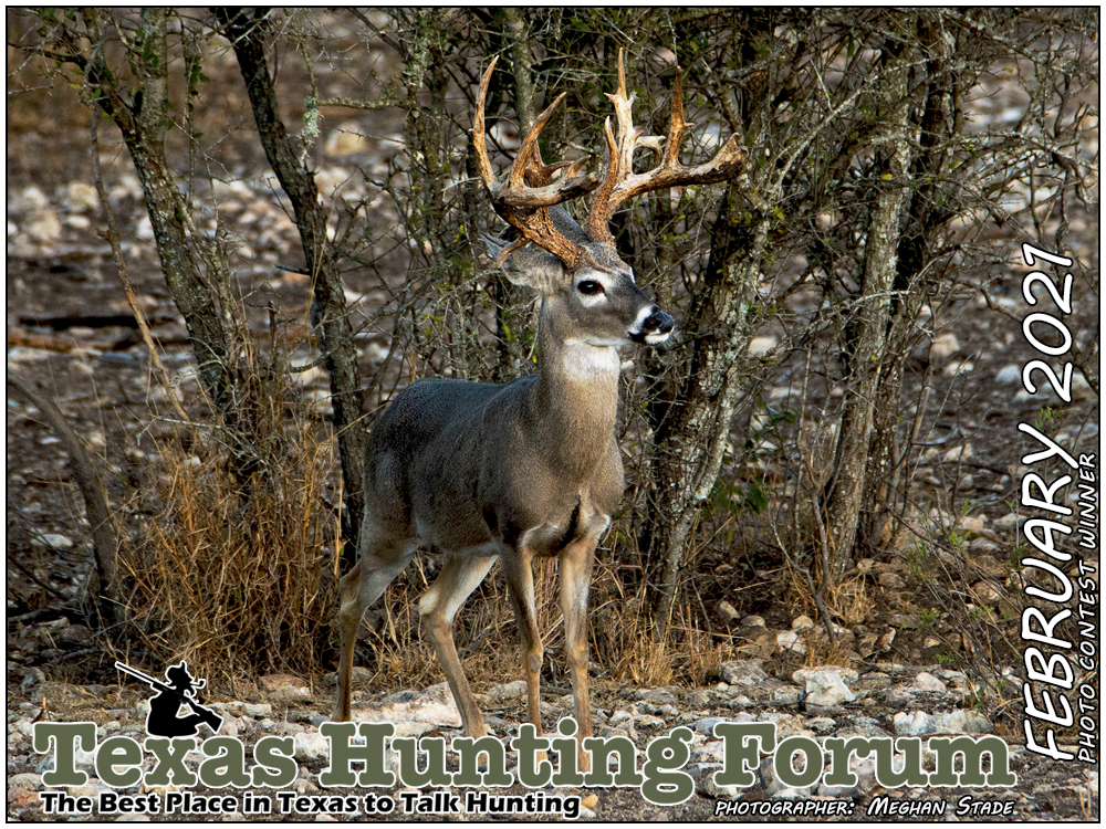  THF Cover Photo Contest Winner