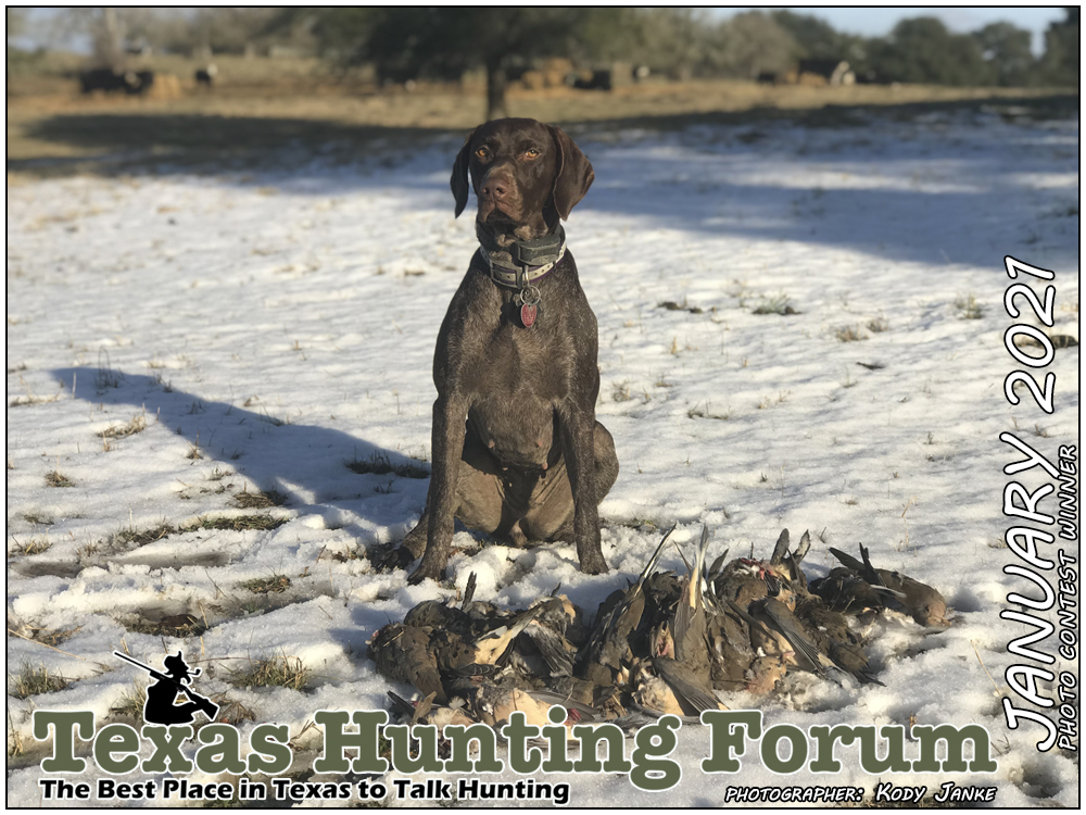  THF Cover Photo Contest Winner