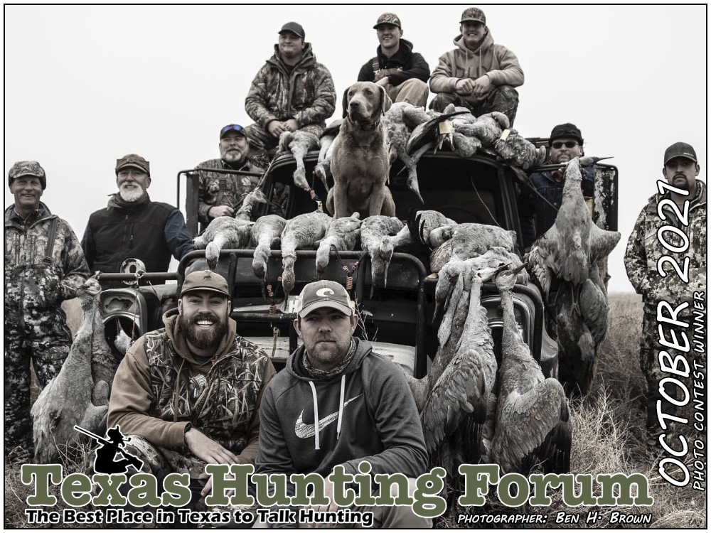  THF Cover Photo Contest Winner