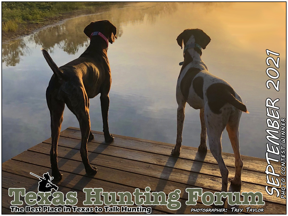  THF Cover Photo Contest Winner