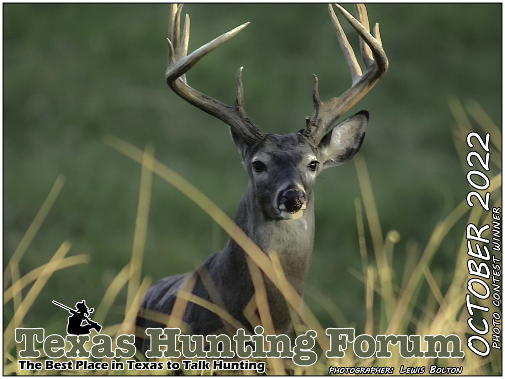  THF Cover Photo Contest Winner